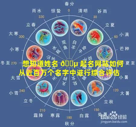 想知道姓名 🐵 起名网站如何从近百万个名字中进行综合评估